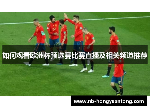 如何观看欧洲杯预选赛比赛直播及相关频道推荐
